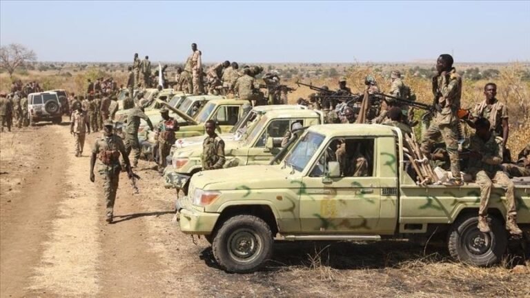 السودان.. الدعم السريع تسيطر على الفاشر وتحذيرات من كارثة إنسانية في المدينة