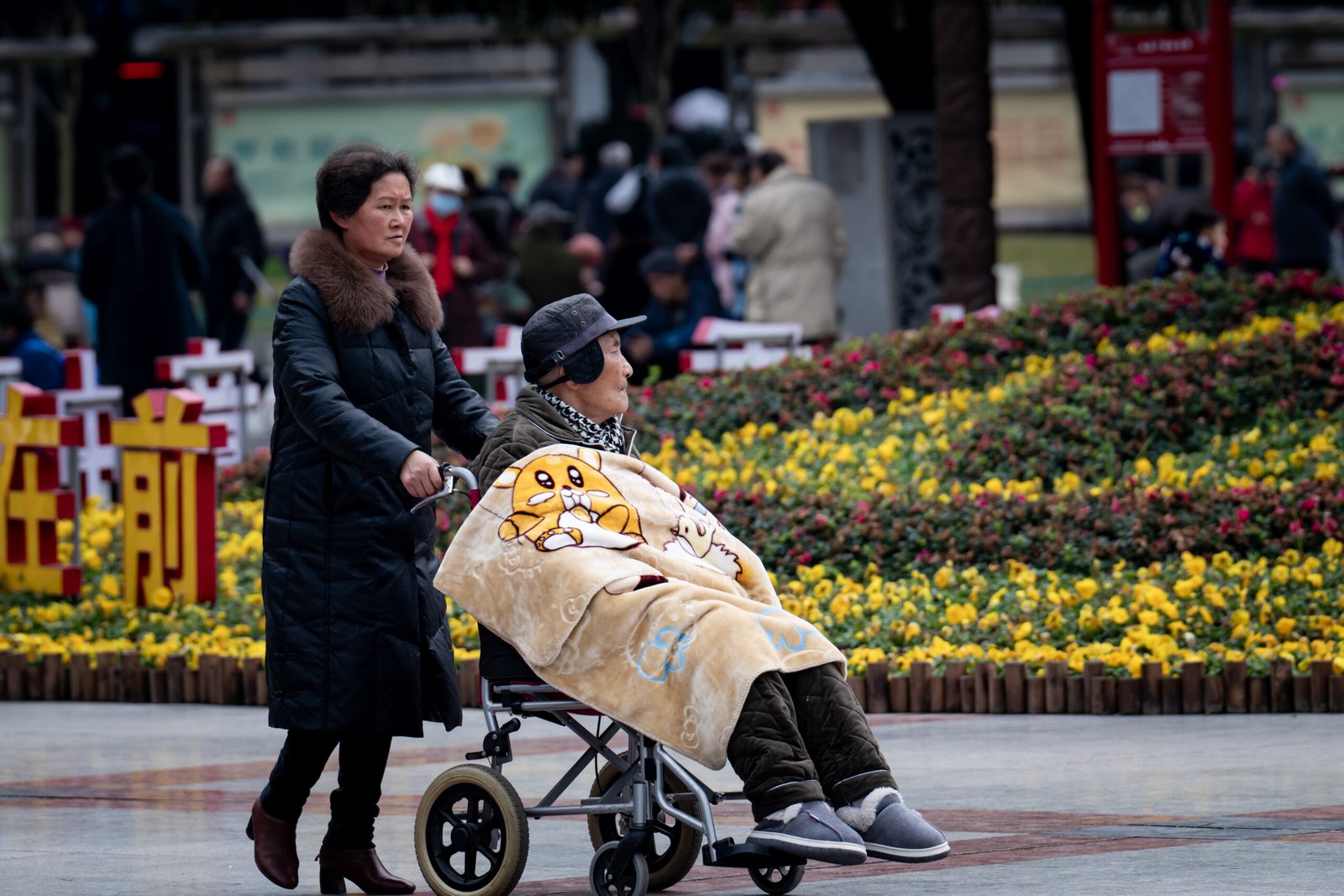 Chinese Elderly Population