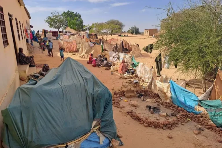 حوالي 350 عائلة سودانية هربت من حصار الفاشر