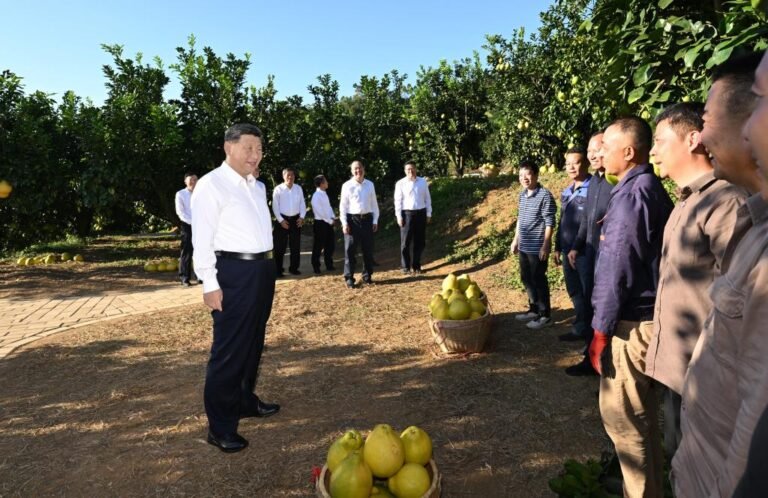 الرئيس الصيني يحث على تعميق الإصلاح والانفتاح ويتفقد مدينة ميتشو بمقاطعة قوانغدونغ