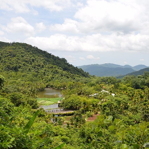 إصدار خرائط عالية الدقة لتنوع الغابات في الصين