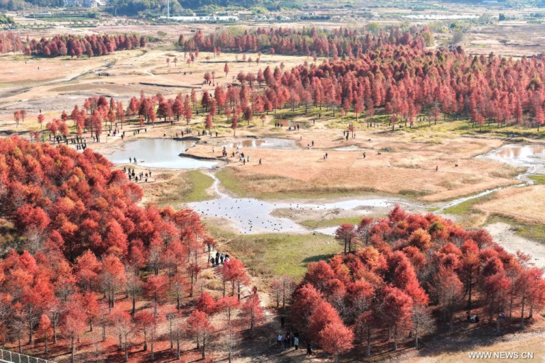 مناظر شتوية خلابة في الصين