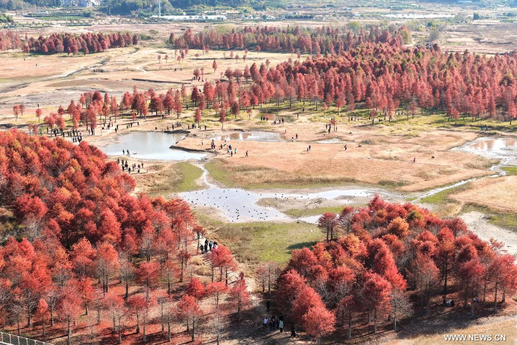 مناظر شتوية خلابة في الصين