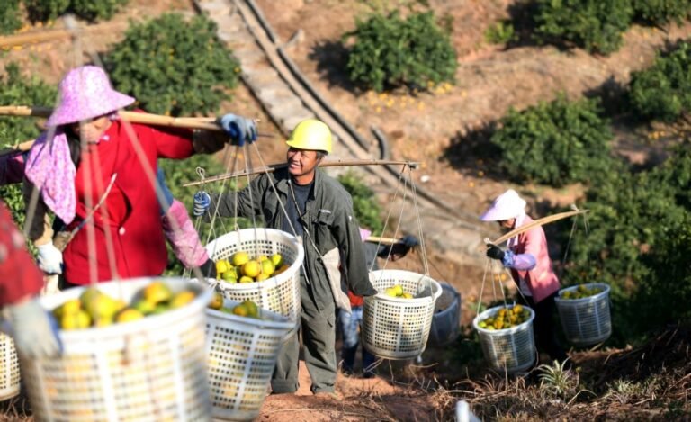 الصين تقدم تجربة ملهمة للعالم في معركتها ضد الفقر