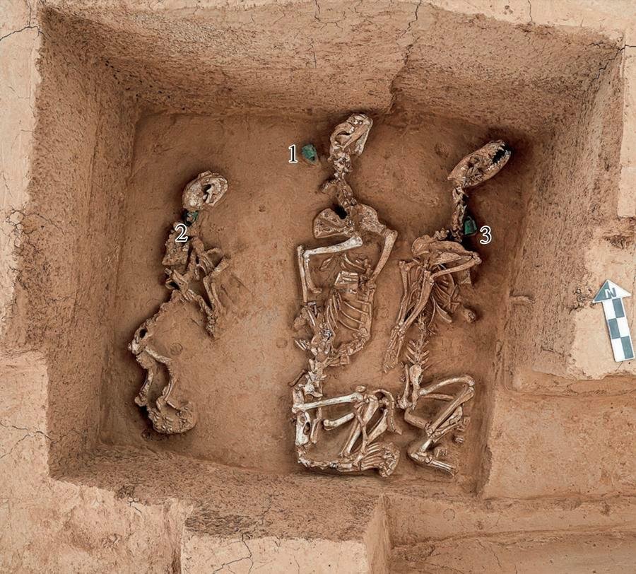 الصين.. مقابر ملكية تكشف أدلة على تربية حيوانات برية قبل أكثر من 3000 سنة