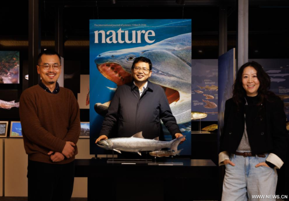 الصين.. حفريات لأسماك قديمة تملأ فجوة حرجة في رحلة التطور