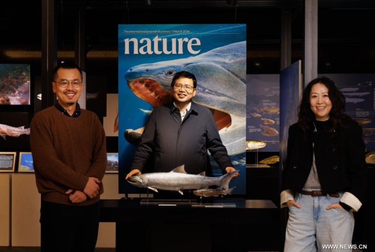 الصين.. حفريات لأسماك قديمة تملأ فجوة حرجة في رحلة التطور