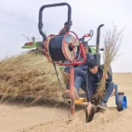 تشجير الصجراء