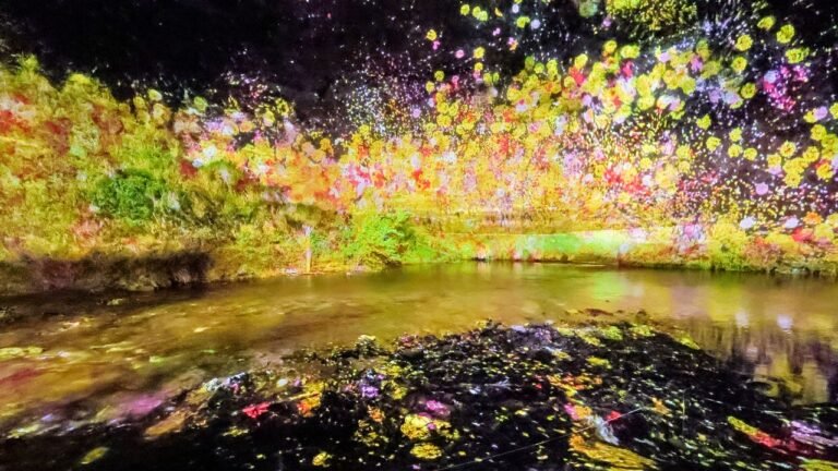 معرض تيم لاب في تشيبا: تجربة بين الضوء والظلام والطبيعة والزمن