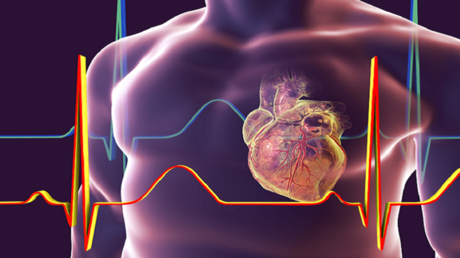 اكتشاف طريقة لإبطاء شيخوخة القلب