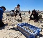 بديل من قاع الميناء: حيلة أهل غزة لمواجهة نقص الإسمنت