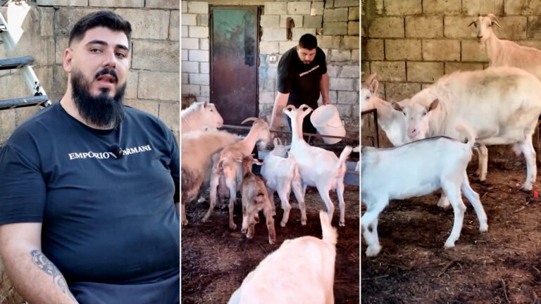 عصا الراعي بمواجهة الاحتلال.. حكاية لبناني لم تكسره الحرب