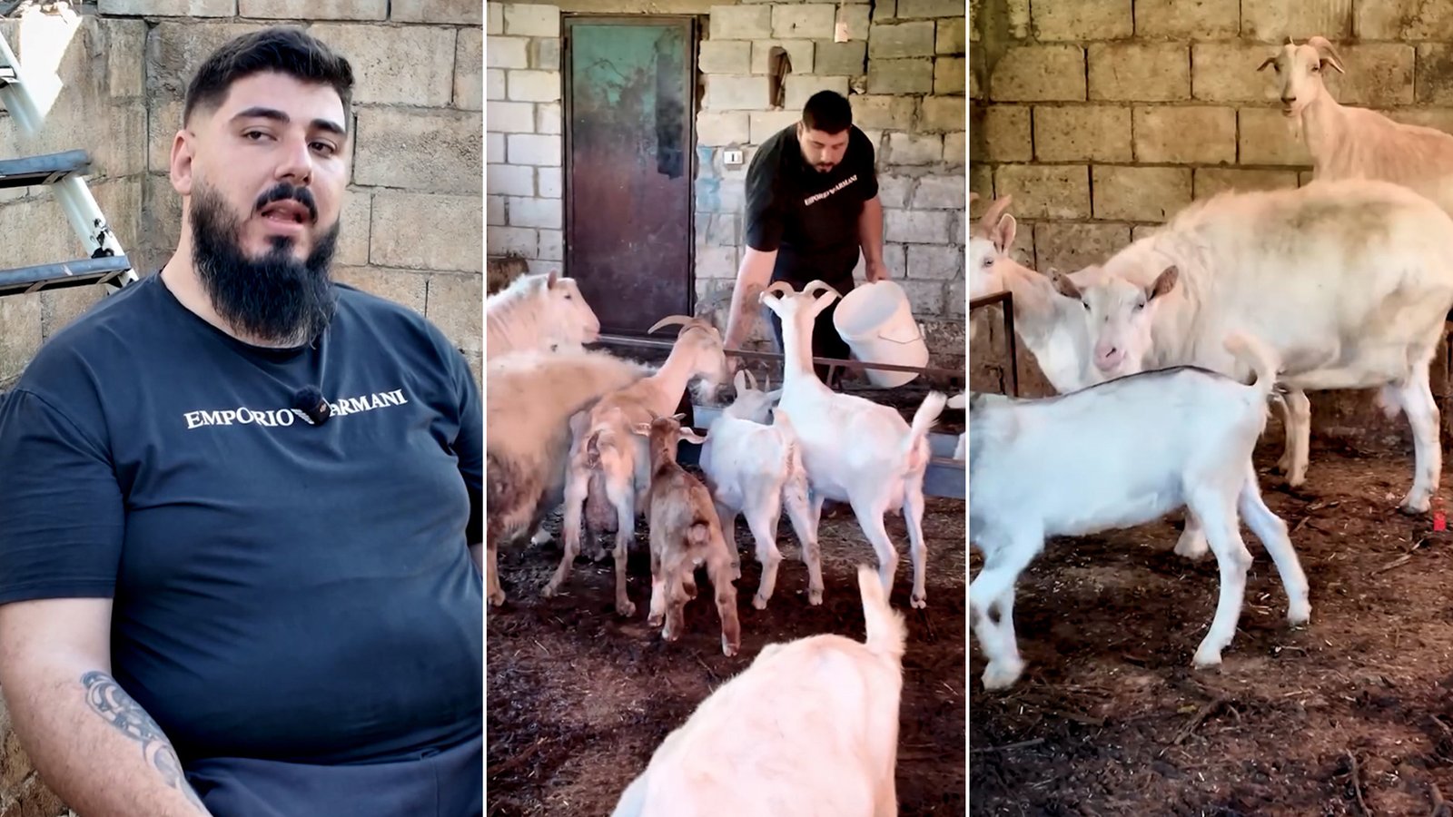 عصا الراعي بمواجهة الاحتلال.. حكاية لبناني لم تكسره الحرب