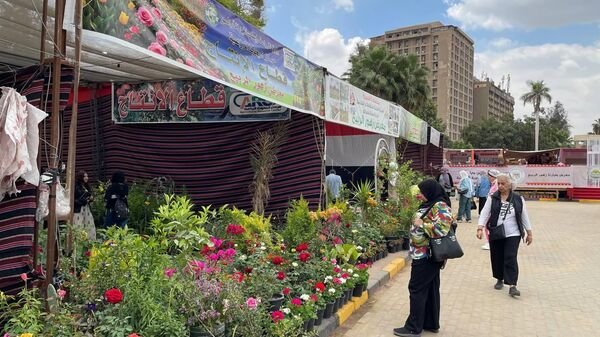 عدسة "سبوتنيك" توثق سحر "زهور الربيع 2026".. مسؤول: صناعة كبرى تدعم الاقتصاد المصري.. صور وفيديو