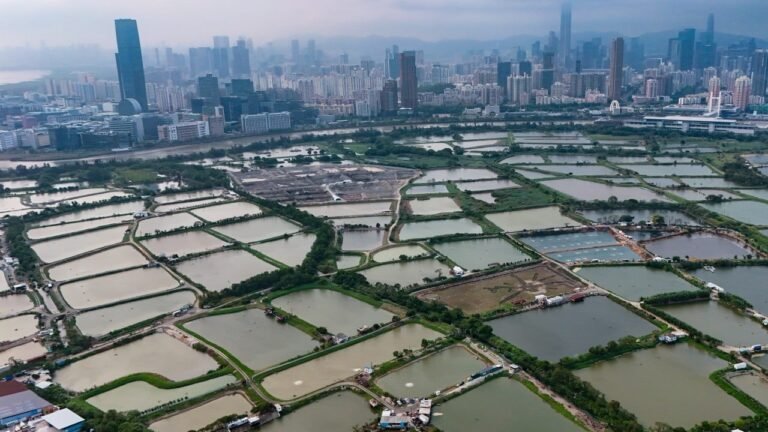 Hong Kong secures US$3.5 billion to fund Northern Metropolis and green projects