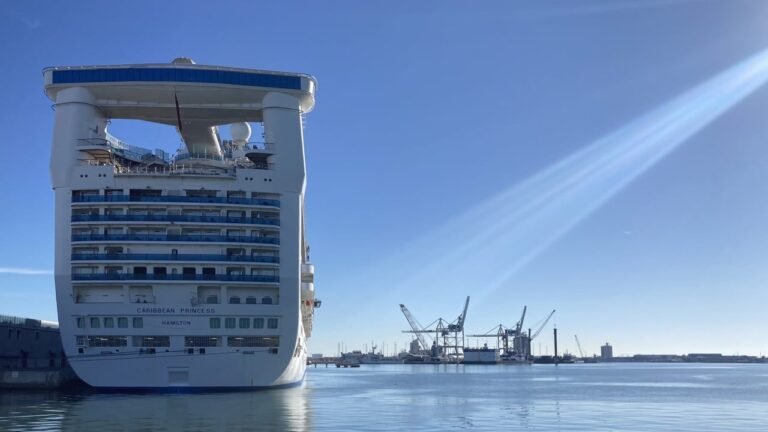 Norovirus outbreak on Caribbean Princess cruise ship sickens over 100 guests
