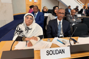 السودان.. توثيق عشرات آلاف حالات القتل والاغتصاب والاختفاء القسري
