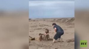 الصين.. إنقاذ شخصين من سيارة جرفتها سيول مفاجئة في منطقة شينجيانغ