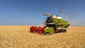 المبيدات الزراعية في ليبيا… مخاطر بيئية وصحية ومساع لتعزيز الرقابة