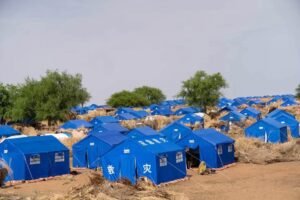 3 آلاف خيمة لأكثر من نصف مليون نازح.. أرقام صادمة من طويلة بدارفور