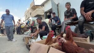 سوق الطيور في غزة تستعيد أنفاسها بعد 3 سنوات من الحرب