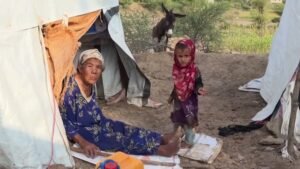 كاميرا الجزيرة ترصد جانبا من معاناة النازحين في تعز